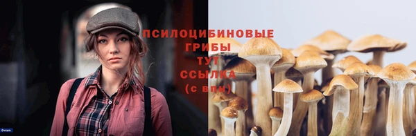 дурь Армянск