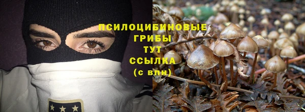 дурь Армянск