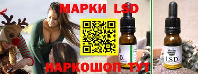 spice Гатчина