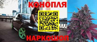 spice Гатчина