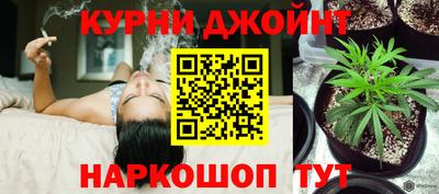 крисы Гай