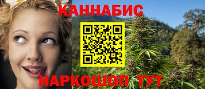 spice Гатчина