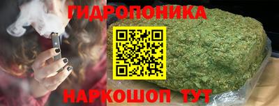 spice Гатчина