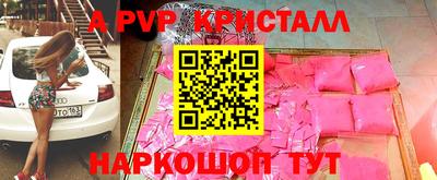крисы Гай